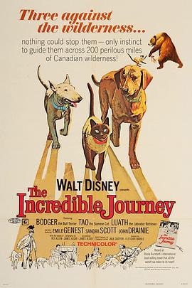 一猫二狗三分亲 The Incredible Journey