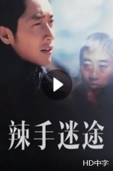 辣手迷途2001