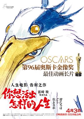 男孩与鹈鹕