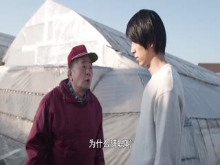 假面骑士利维斯外传：亲爱的母亲前篇