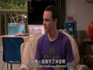生活大爆炸第九季