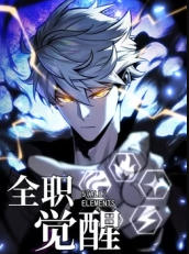 全职觉醒
