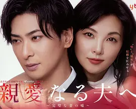 致亲爱的丈夫完美妻子的谎言
