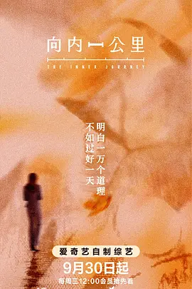 国产yeezy451国色天香：向内一公里，在线视频app揭秘