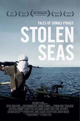 海盗风云 Stolen Seas