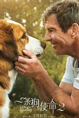 一条狗的使命2 A Dog&amp;#39;s Journey