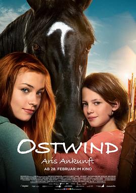 骏马奥斯温4 Ostwind - Aris Ankunft