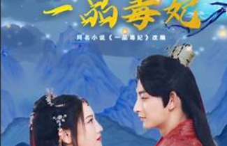 一品毒妃合集