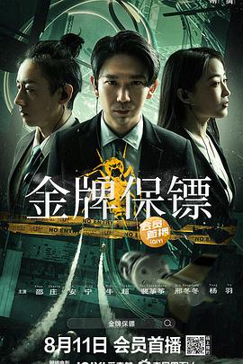 金牌保镖_1080P_