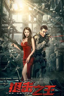 狙击之王：暗杀