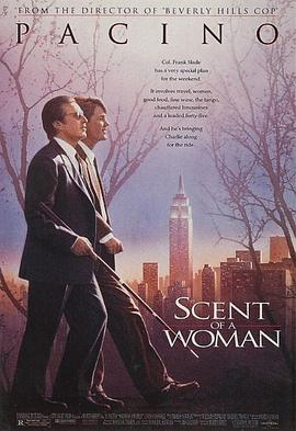 女人的碎片