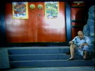 红楼梦淫史