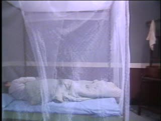 还枝格格02