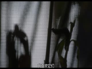 五月十二月